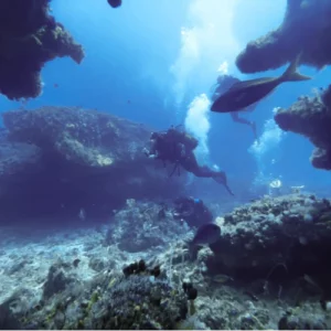 STAY & DIVE - 2 NIGHTS / 4 DIVES
