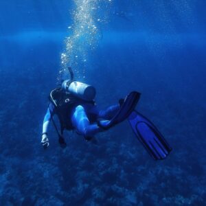 PADI IDC, Instructor Scuba Diver
